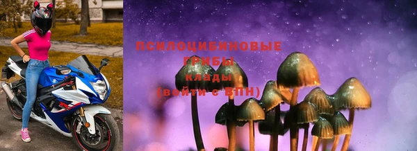 соль ск Алексеевка