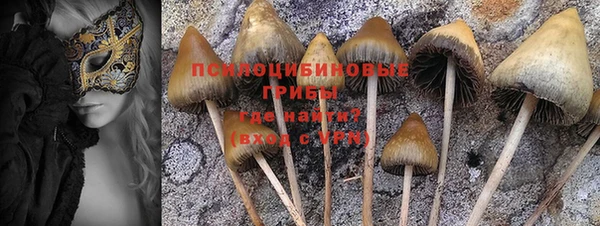прущий лед Абдулино