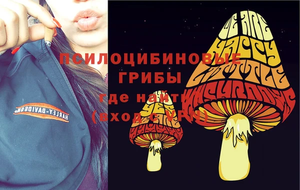 мяу мяу мука Алзамай