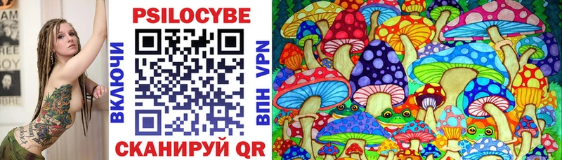 купить наркотики цена  Елизаветинская  Галлюциногенные грибы Cubensis 